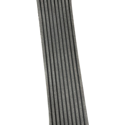 ISO/TS16949 Engine Parts Auto Belt Pk Belt for Optimal Performance